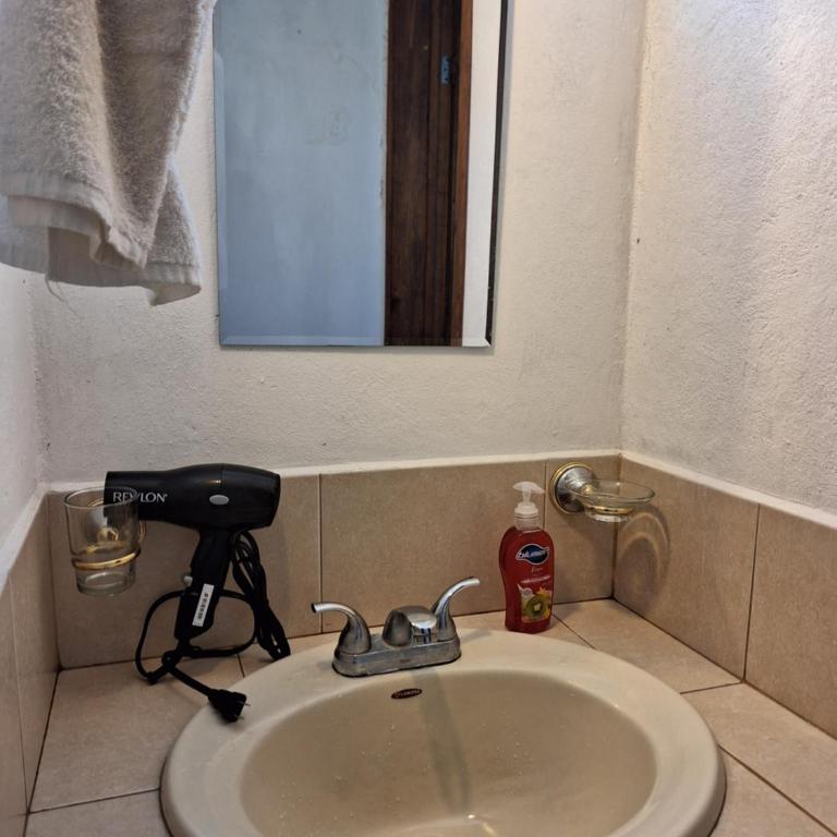 Casa Mua - Apartment with Garden View - 11