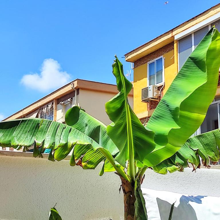 Manuela Nogales Apartments! - Apartamento de 2 dormitorios - 5