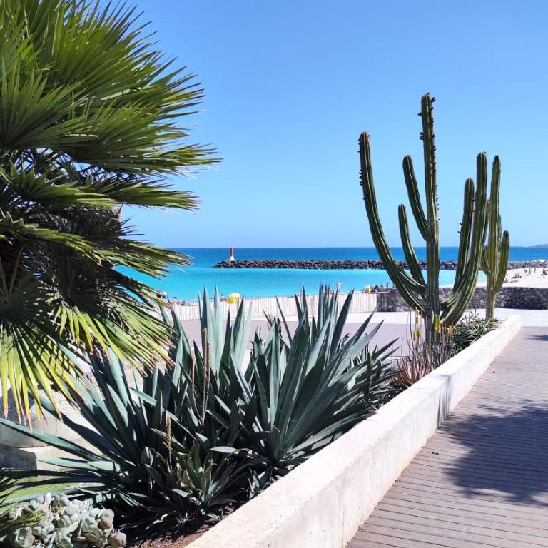 Fabelo Apartment, Puerto del Rosario - Apartamento de 2 dormitorios - 16