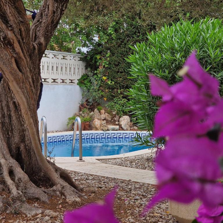 Riumar "Flora", 400m to beach, private pool, On-Site-Service, dog beach - Casa de 3 dormitorios - 6