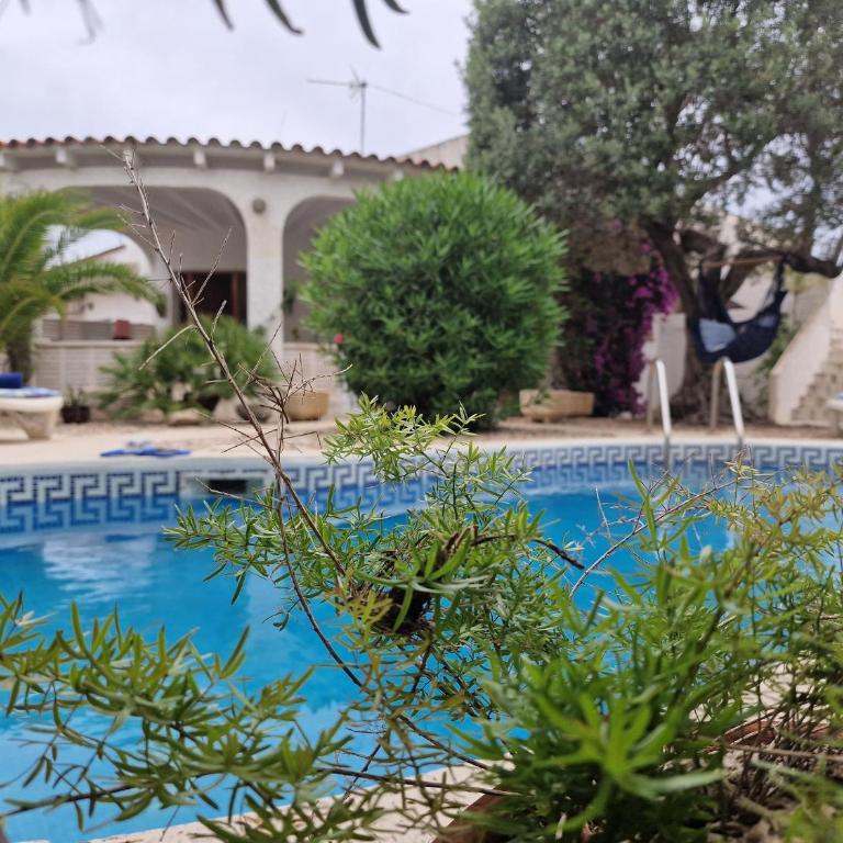 Riumar "Flora", 400m to beach, private pool, On-Site-Service, dog beach - Casa de 3 dormitorios - 9
