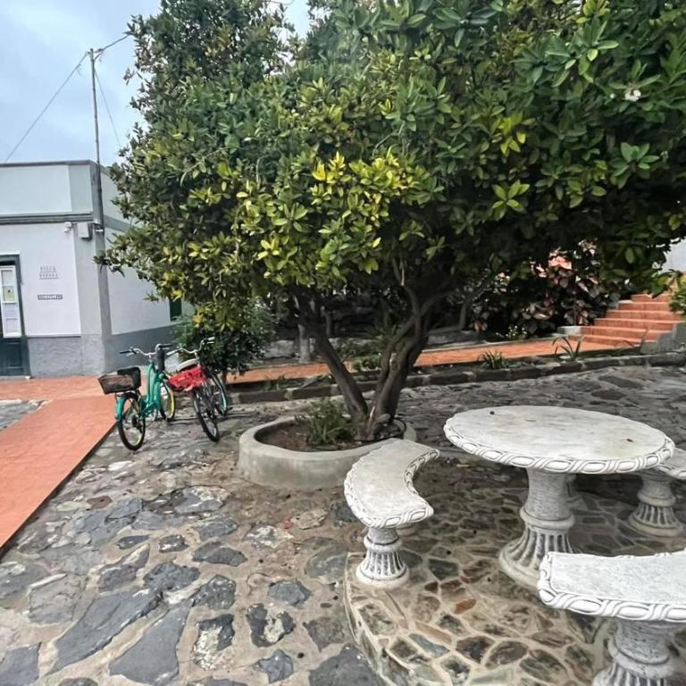 Apartamentos Villa Aurora - Apartamento de 1 dormitorio (2 adultos) - 8