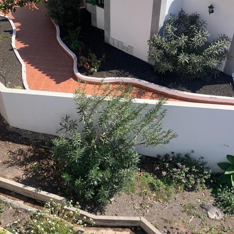 Apartamentos Villa Aurora - Apartamento de 2 dormitorios (4 adultos) - 8