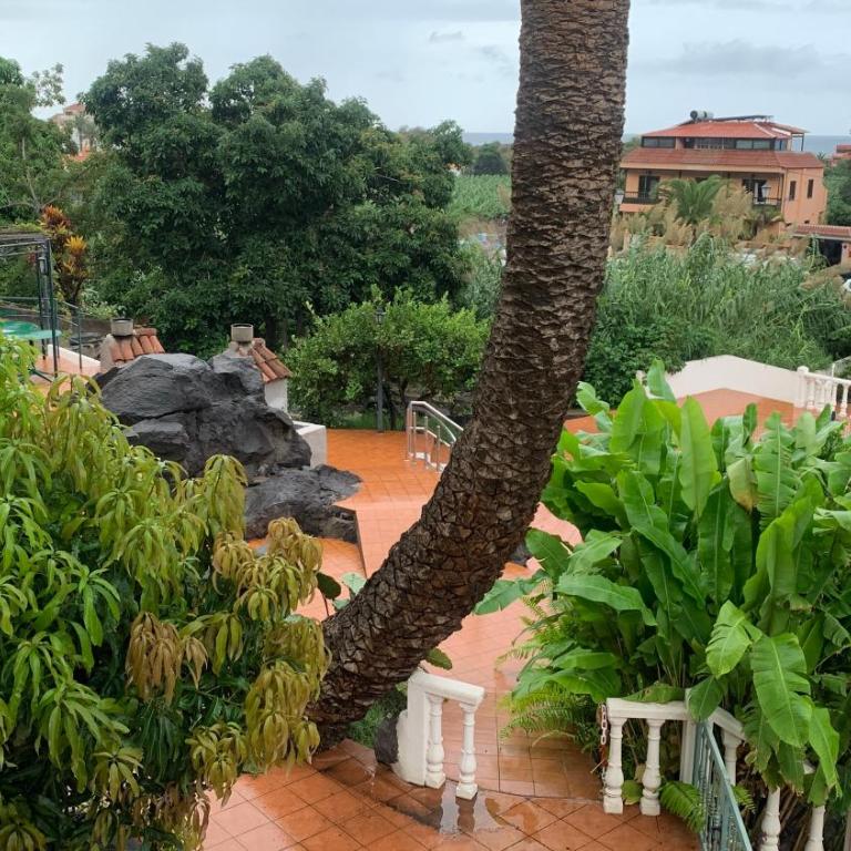 Apartamentos Villa Aurora - Apartamento de 1 dormitorio (2 adultos) - 17