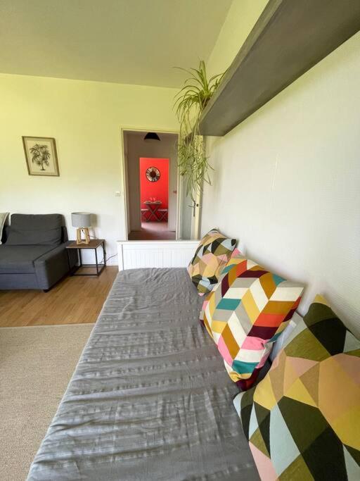 Studio au pied du Vercors - Appartement - Vue sur Jardin - 11