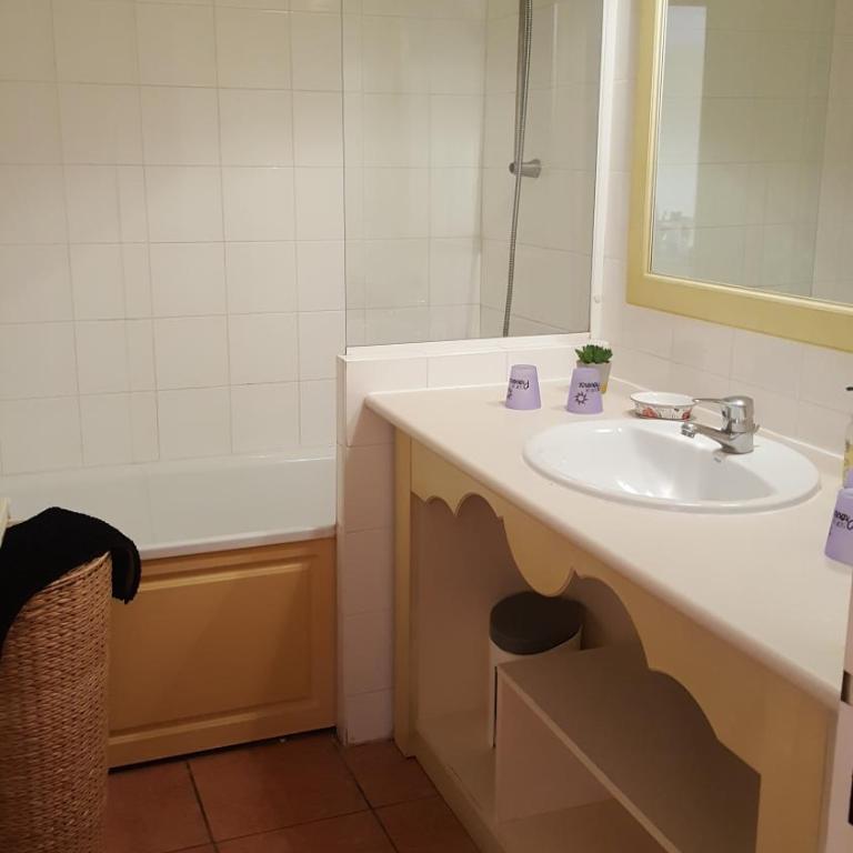 CHARMANT APPARTEMENT T2 VUE SUR PISCINE - Appartement 1 Chambre - 6