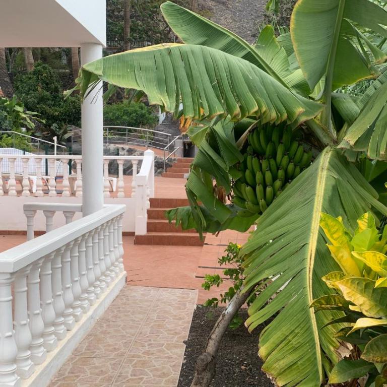 Apartamentos Villa Aurora - Apartamento de 1 dormitorio (2 adultos) - 47