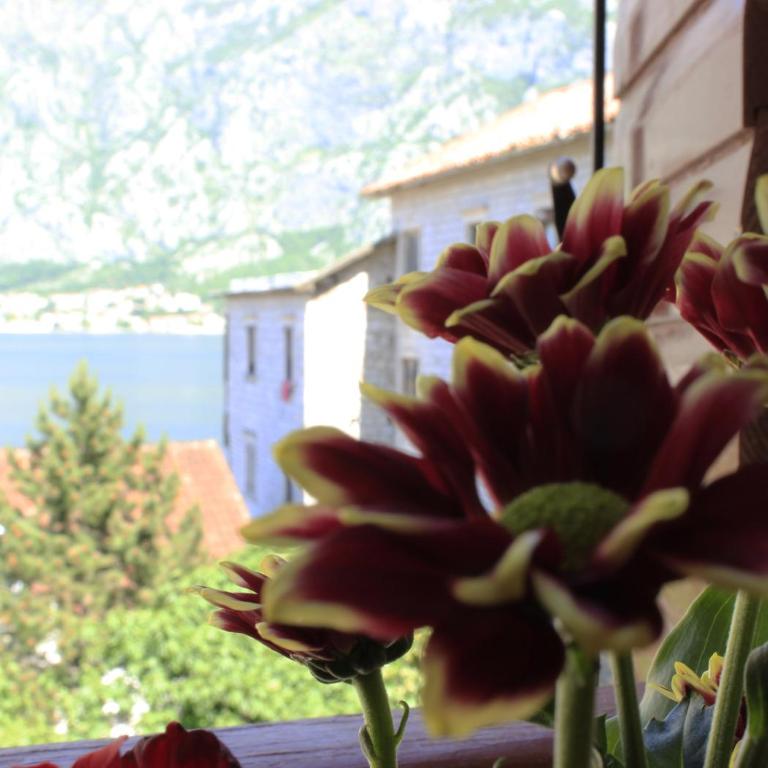 Apartments Jelena - Apartman s 1 Spavaćom Sobom i Pogledom na More - 3