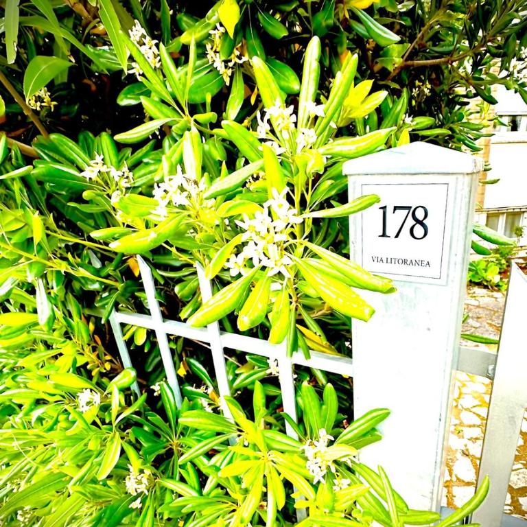 Conero casa- Marcelli di Numana in Via Litoranea 178 Fronte Mare con Pass Parcheggio Gratuito - Appartamento con 2 Camere da Letto - 23