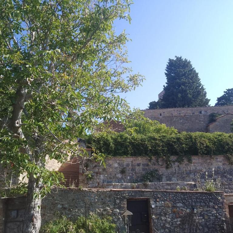 La Casina tra le Torri - Two-Bedroom Apartment - 12