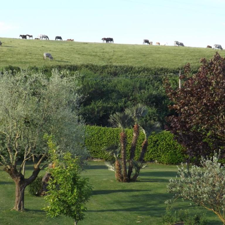 Villa la casa di Siro - Villa con Vista Giardino - 75