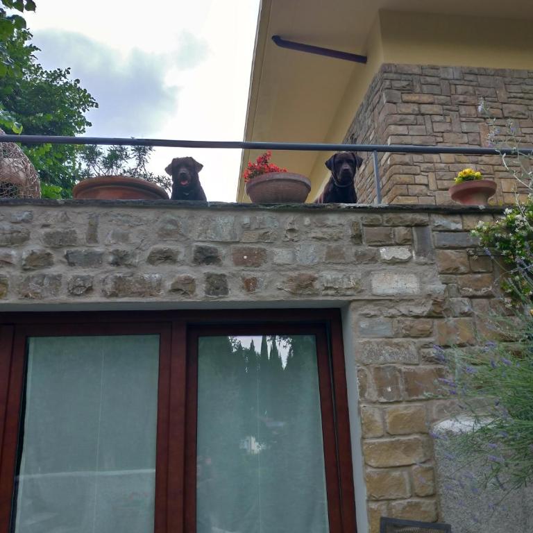 Poggio Gherardo - Appartamento con 2 Camere da Letto - 6