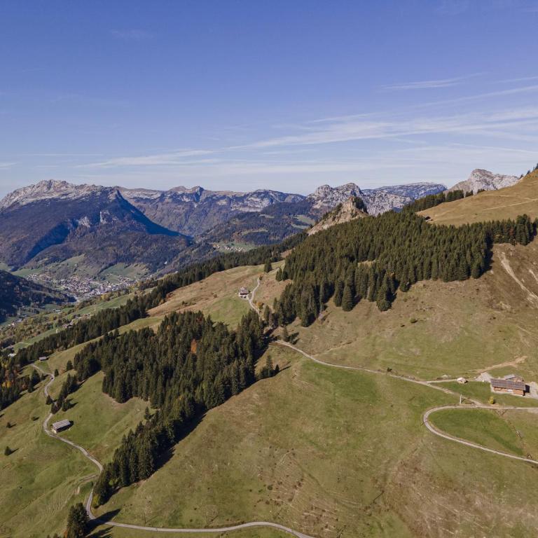 Alpage la Grand Montagne 1858 - Superior Chalet - 47
