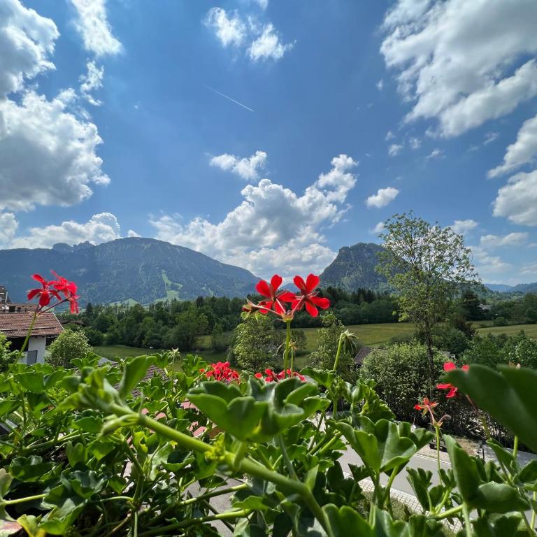 Allgäu Appartementhaus Appartement ALLGÄU 09 - Apartment mit Blick auf die Berge - 7