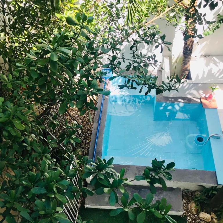 Cozy Tiny Studio AcasadiAlexPlayadelCarmen - Studio with Pool View - 3