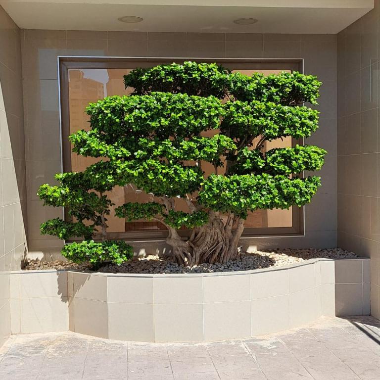 Esmeralda Seaview-Suites - One-Bedroom Apartment - 26