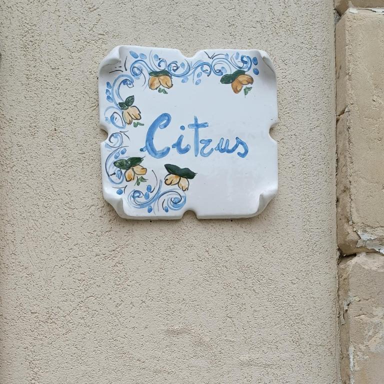 Citrus Verde - One-Bedroom Apartment - 42