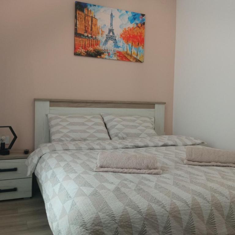 Apartman Zara - free private parking - - Apartman sa 1 Spavaćom Sobom - 22