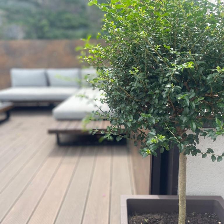 Apartment Marie - Appartamento con 1 Camera da Letto - 6
