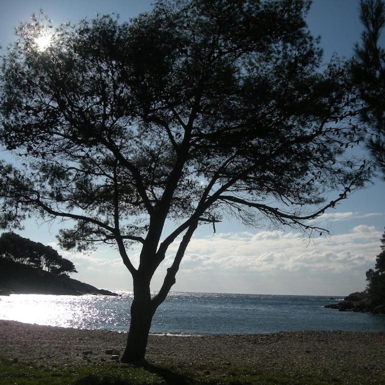BANDOL-MAISON LA BIENVENUE 9MN A PIED MER-CALANQUE PORT D'ALON-GRAND JARDIN+FIBRE WIFI - Maison 1 Chambre - 11