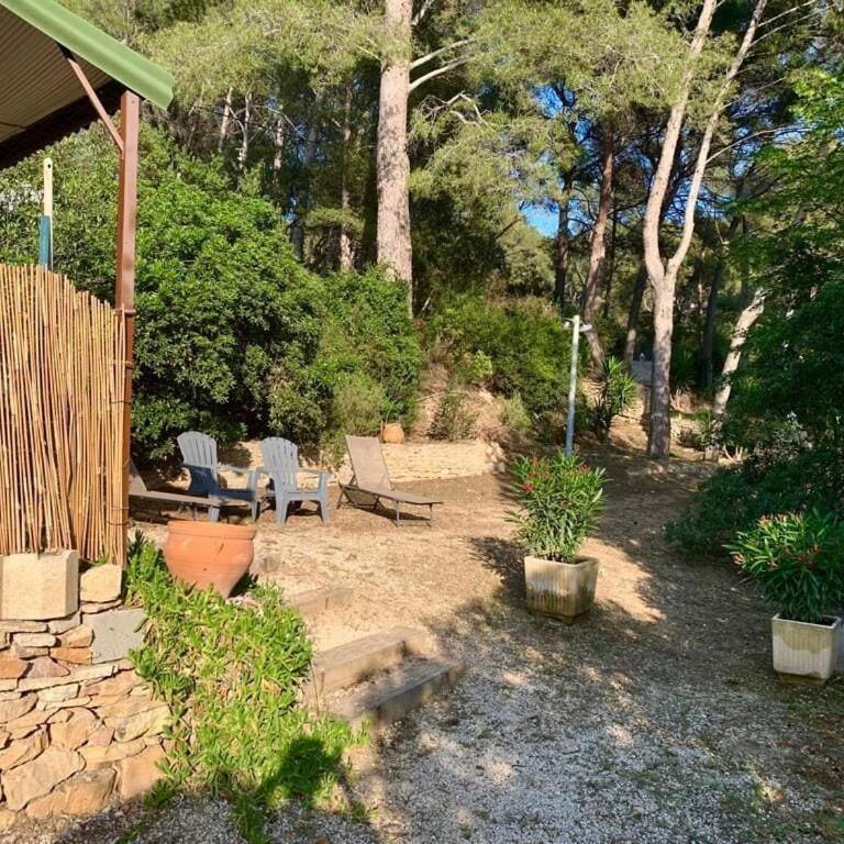 BANDOL-MAISON LA BIENVENUE 9MN A PIED MER-CALANQUE PORT D'ALON-GRAND JARDIN+FIBRE WIFI - Maison 1 Chambre - 15