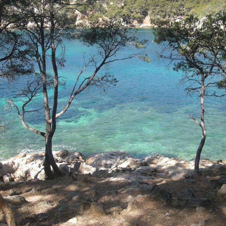 BANDOL-MAISON LA BIENVENUE 9MN A PIED MER-CALANQUE PORT D'ALON-GRAND JARDIN+FIBRE WIFI - Maison 1 Chambre - 32