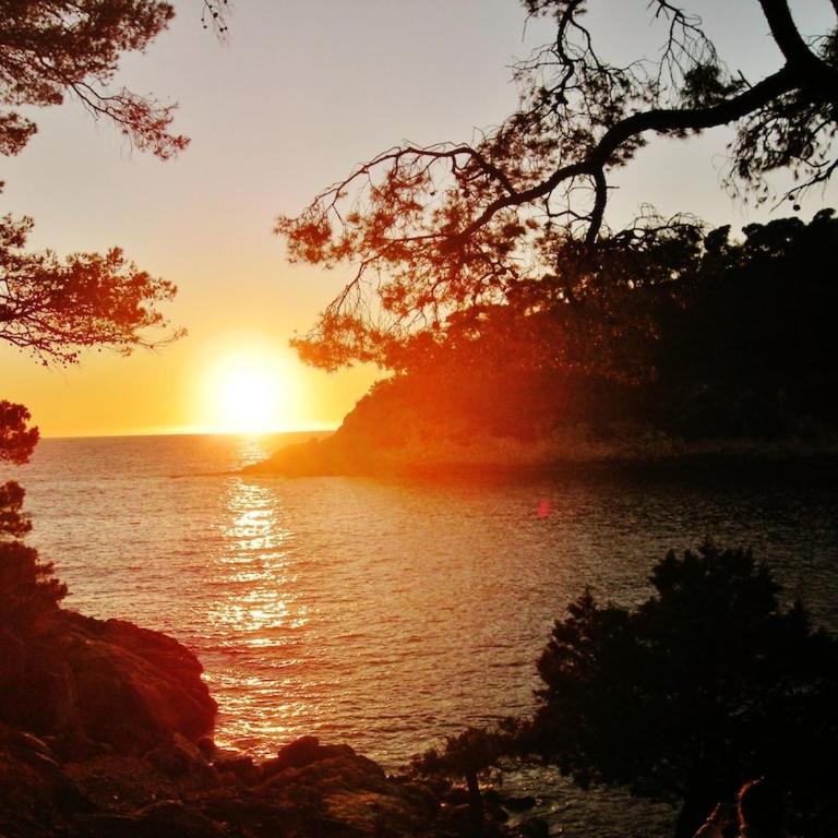 BANDOL-MAISON LA BIENVENUE 9MN A PIED MER-CALANQUE PORT D'ALON-GRAND JARDIN+FIBRE WIFI - Maison 1 Chambre - 44