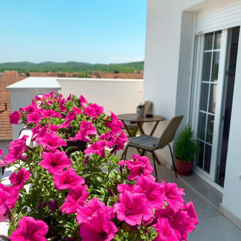 Apartment Atria II - One-Bedroom Apartment - 17
