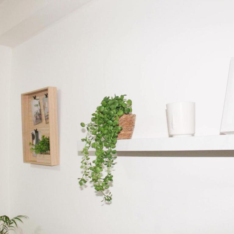 Apartment Atria - Apartman sa 1 Spavaćom Sobom - 31