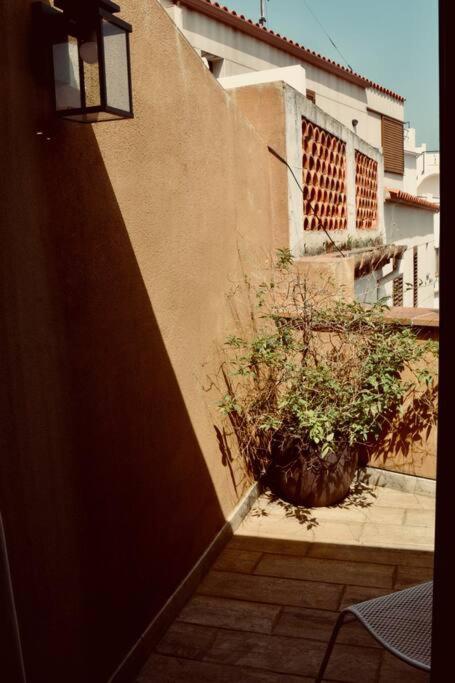 Can Senio 3 - Apartamento de 1 dormitorio - 30