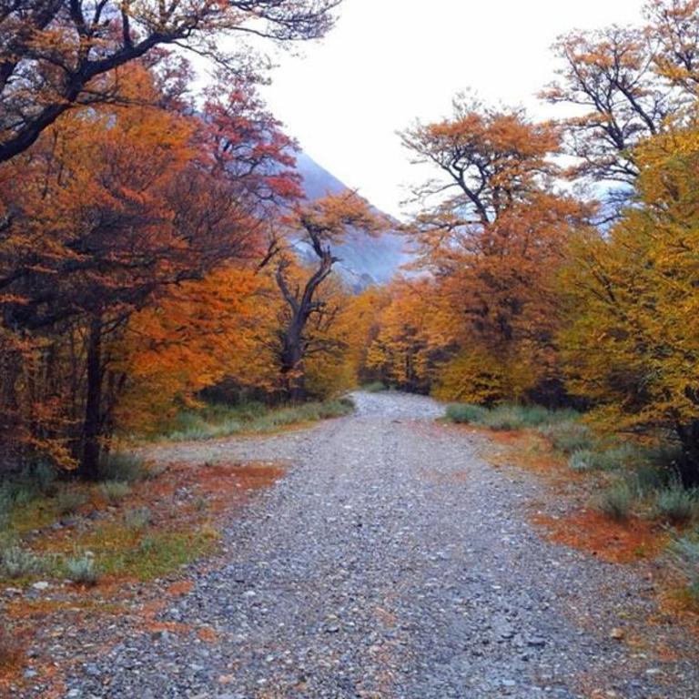 Casa Huemules - Casa de 3 dormitorios - 19