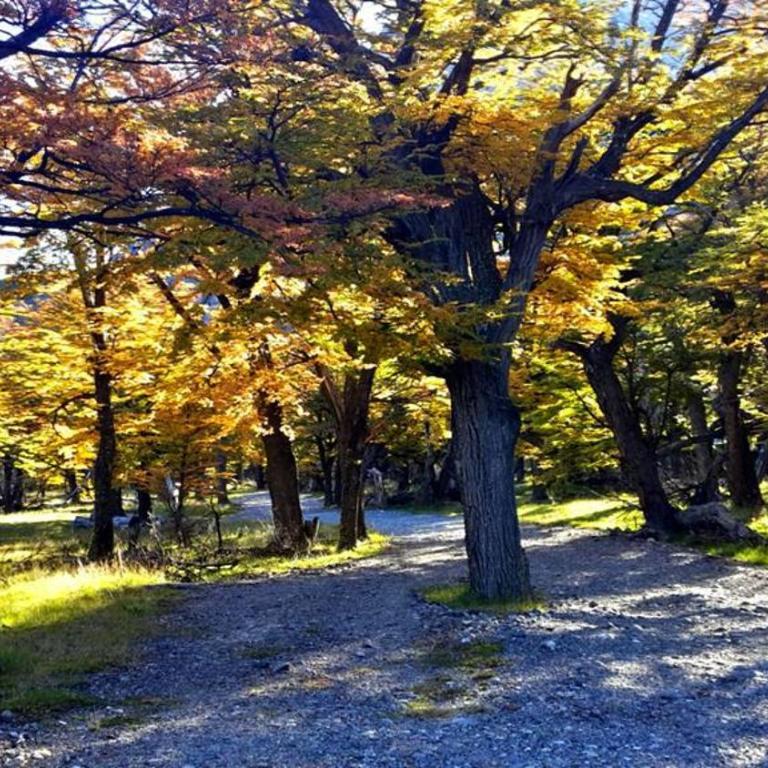 Casa Huemules - Casa de 3 dormitorios - 41