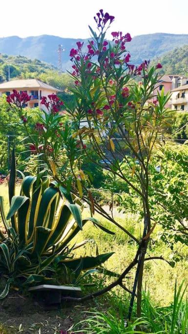 La casa Bouganville a Moneglia, 10 min a piedi dal mare - Appartamento con 2 Camere da Letto - 16