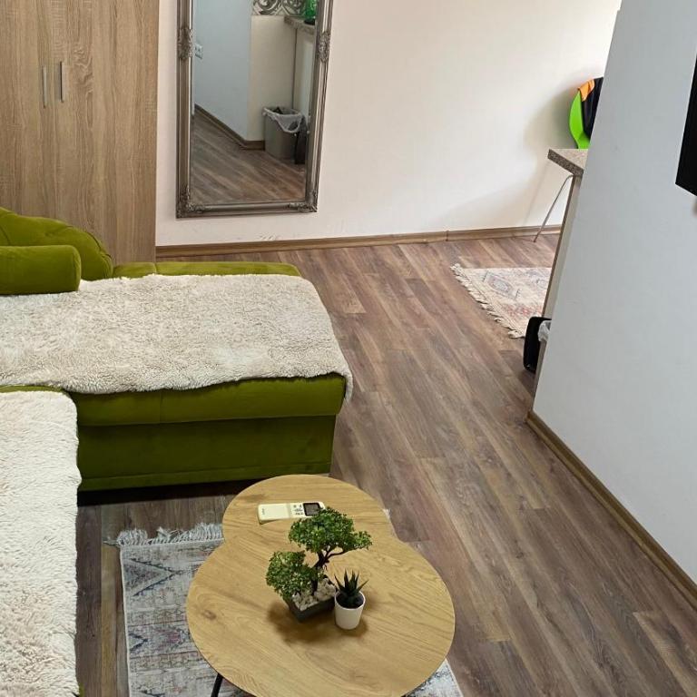 Central13 App 1 - Apartman sa 1 Spavaćom Sobom - 6