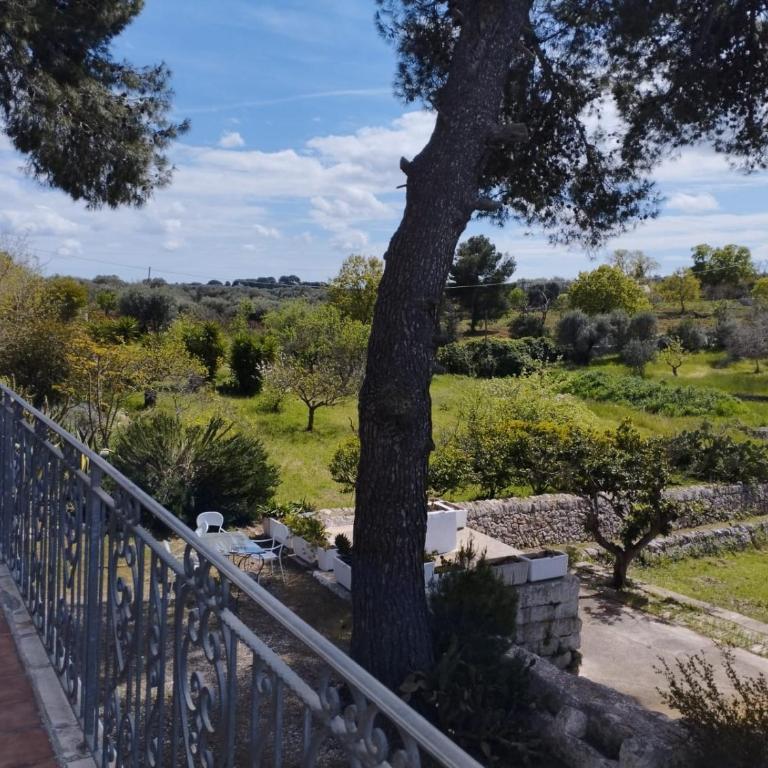 Torre Marinella - King Room with Balcony - 1