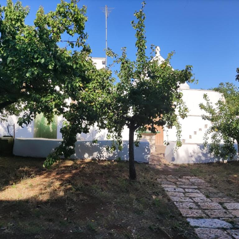 Trullo sole e vento - One-Bedroom Apartment - 8