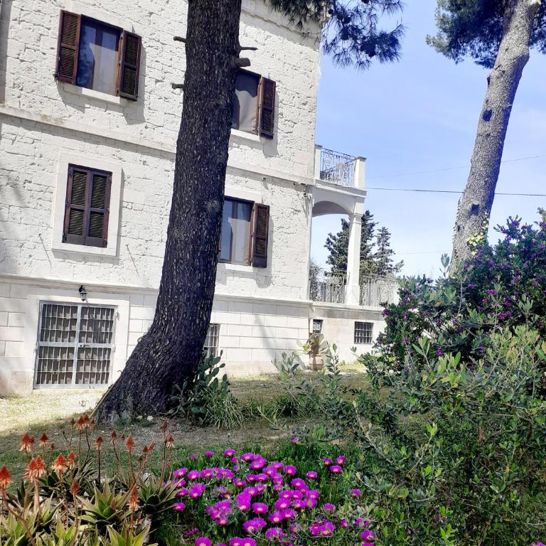 Torre Marinella - Double Room with Garden View - 9