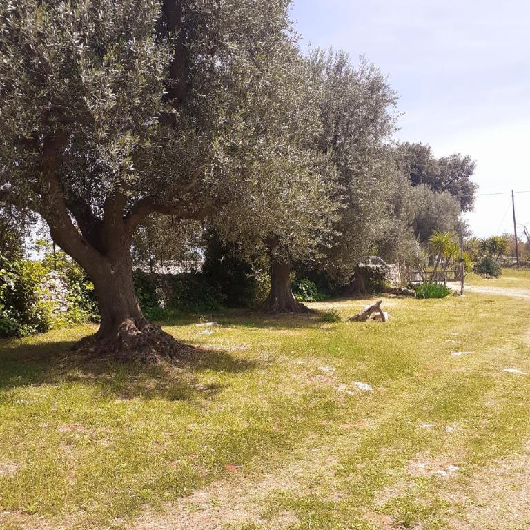 Torre Marinella - Double Room with Patio - 11
