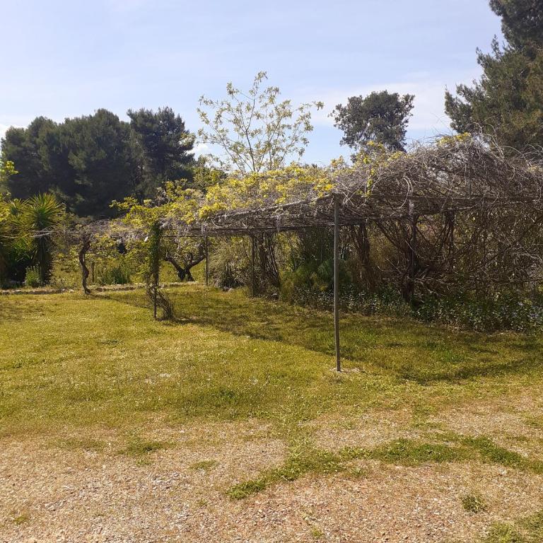 Torre Marinella - Double Room with Patio - 26