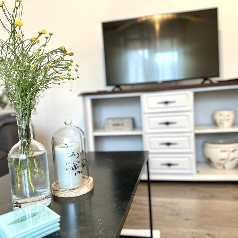 W Apartments - One-Bedroom Apartment - 10