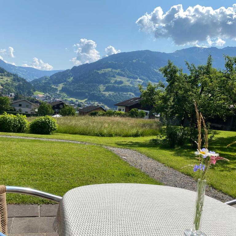 AlpenApart Montafon - Haus Engstler - Apartment mit Terrasse - 6