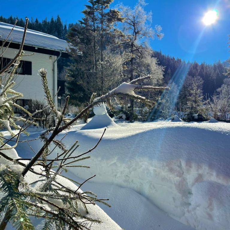 Forsthaus Reit im Winkl - Apartment mit 3 Schlafzimmern und Bergblick - 7