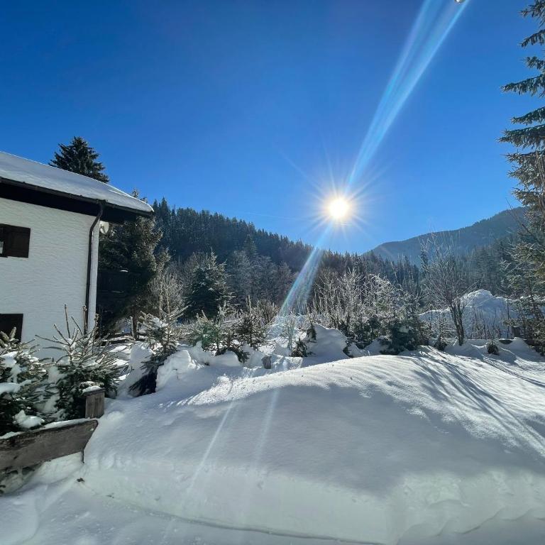 Forsthaus Reit im Winkl - Apartment mit 3 Schlafzimmern und Bergblick - 6