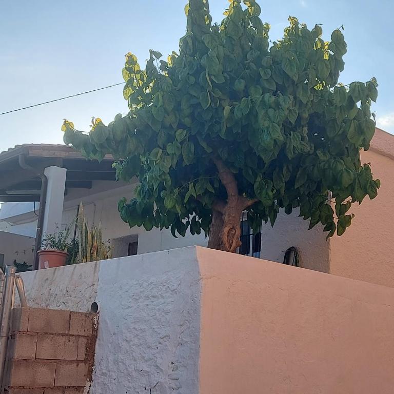 Casa La Morera - Casa de 2 dormitorios - 22