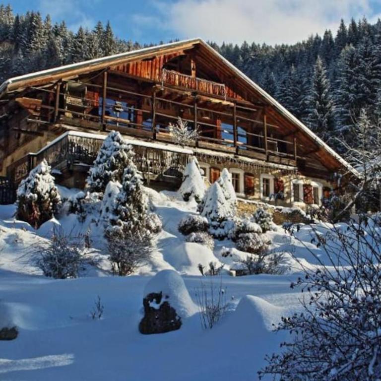 La Ferme du Nant - Portes du Soleil - Apartment - 2