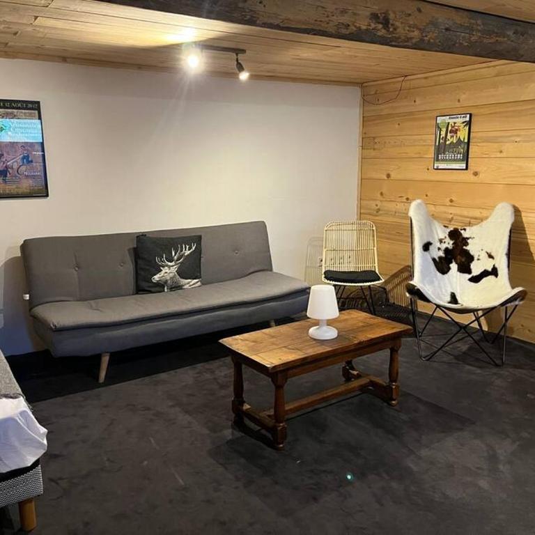 La Ferme du Nant - Portes du Soleil - Apartment - 55