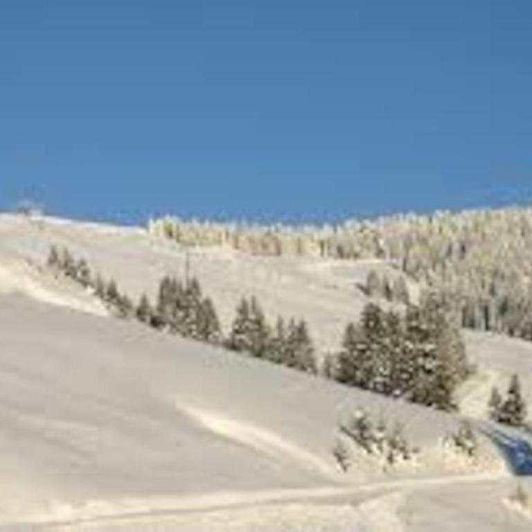 La Ferme du Nant - Portes du Soleil - Apartment - 7