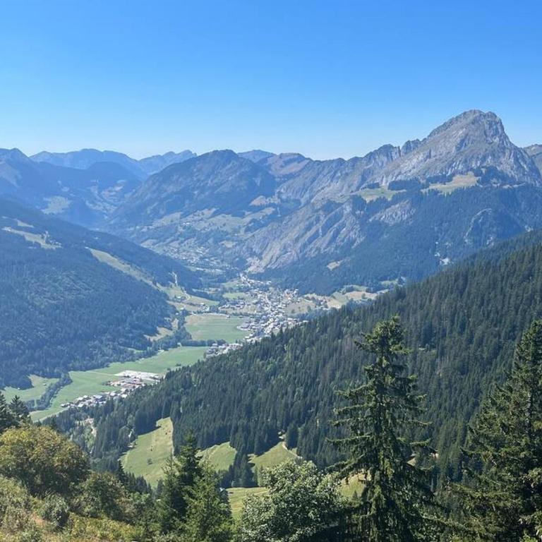 La Ferme du Nant - Portes du Soleil - Apartment - 62