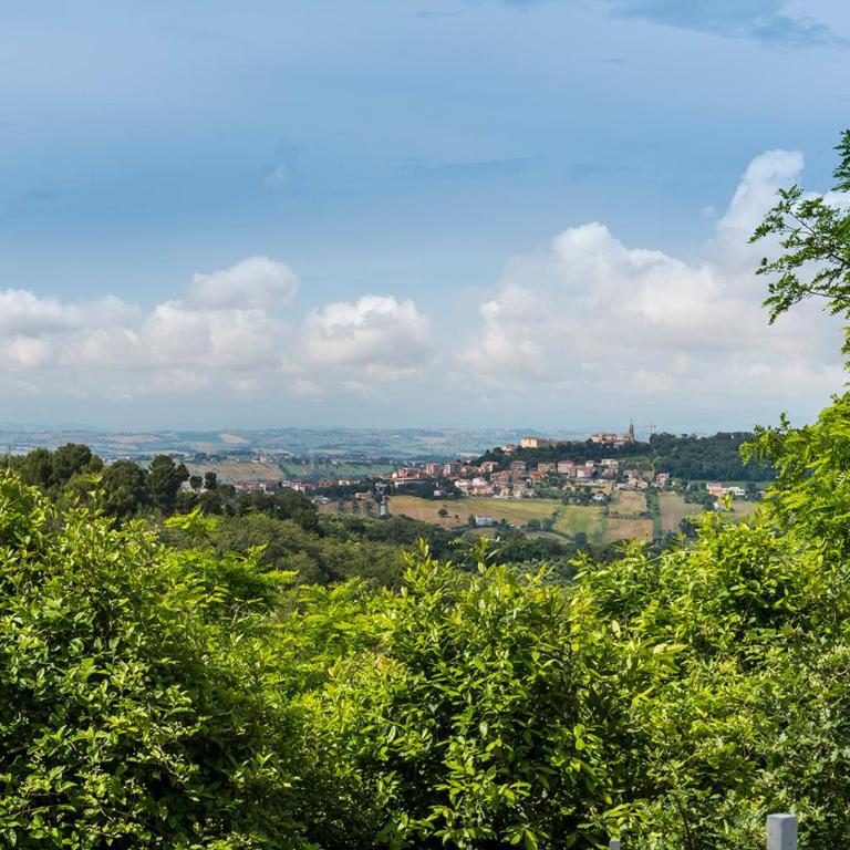 A30 - Poggio, nuovo bilocale con giardino - Appartamento con 1 Camera da Letto - 13