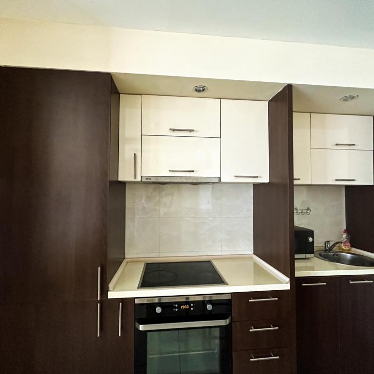 BigMontenegro Shine - Apartman sa 1 Spavaćom Sobom - 14